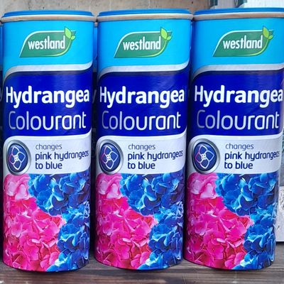Hydrangea Colourant - Changes Pink Hydrangeas to Blue