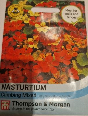Nasturtium - Climbing Mixed
