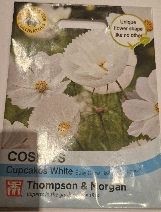 Cosmos- Cupcake White