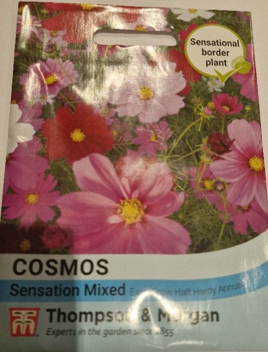 Cosmos- Sensation mixed
