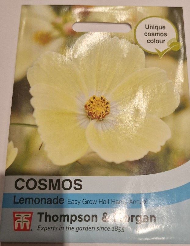Cosmos - Lemonade