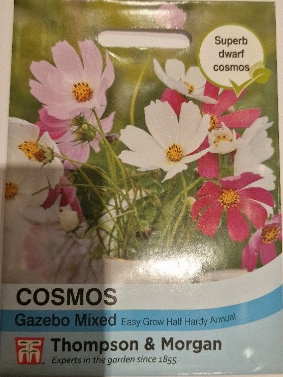 Cosmos- Gazebo mix