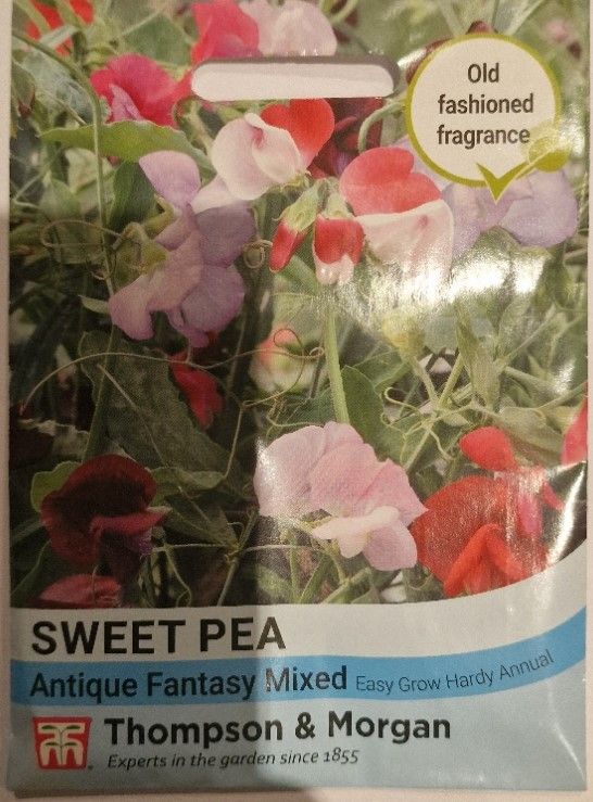 Sweet Pea- Antique Fantasy Mix