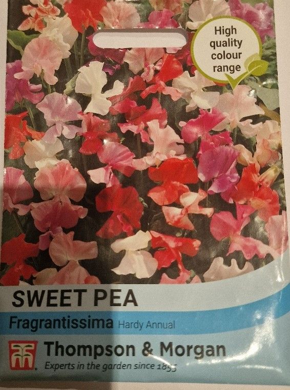 Sweet Pea- Fragrantissima