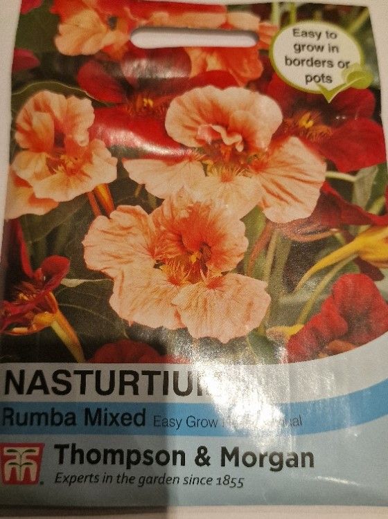 Nasturtium - Rumba mixed