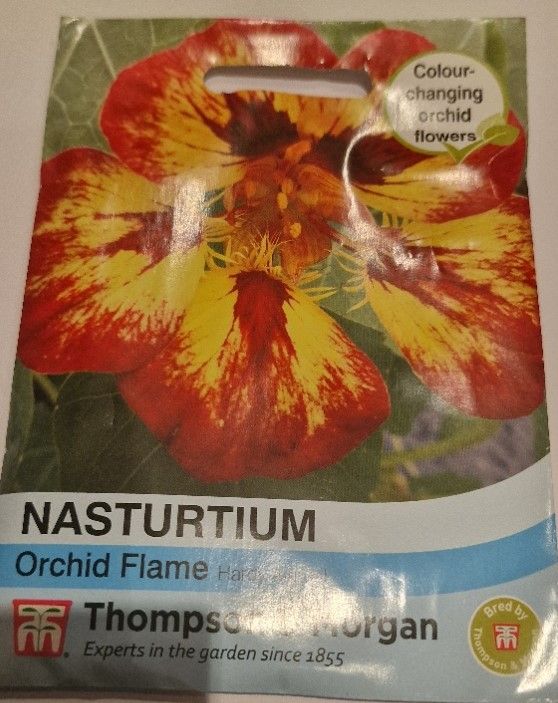 Nasrurtium - Orchid Flame
