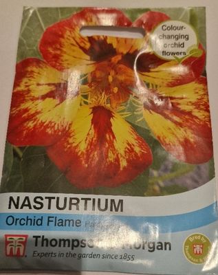 Nasrurtium - Orchid Flame