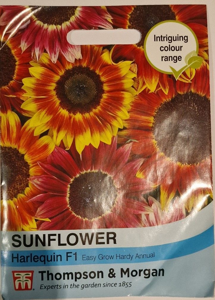 Sunflower - Harlequin F1