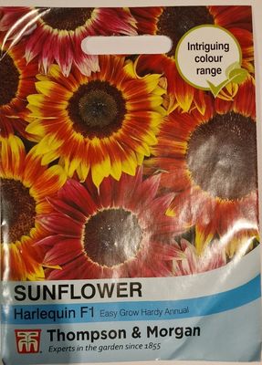 Sunflower - Harlequin F1