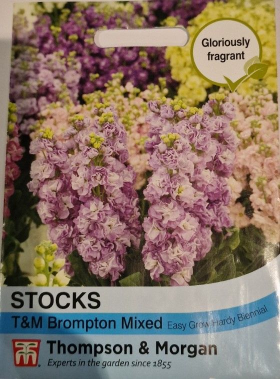 Stocks- T&amp;M Brompton Mixed