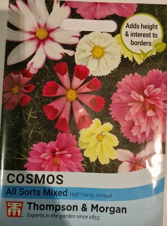 Cosmos - All sorts Mixed