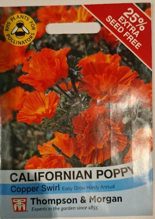 Californian Poppy- Copper Swirl