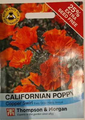 Californian Poppy- Copper Swirl