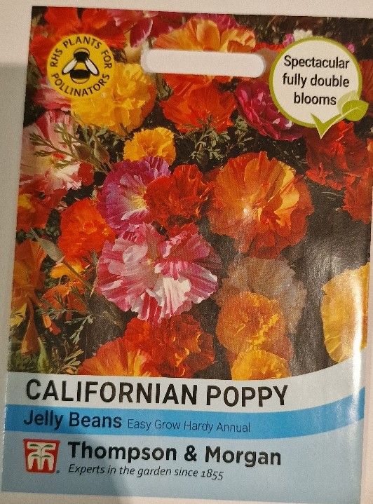 Californian Poppy - Jelly Beans