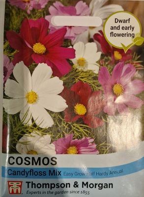Cosmos-  Candyfloss mix