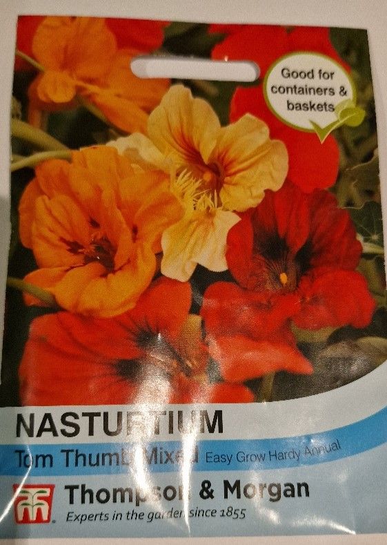 Nasturtium - Tom Thumb mixed