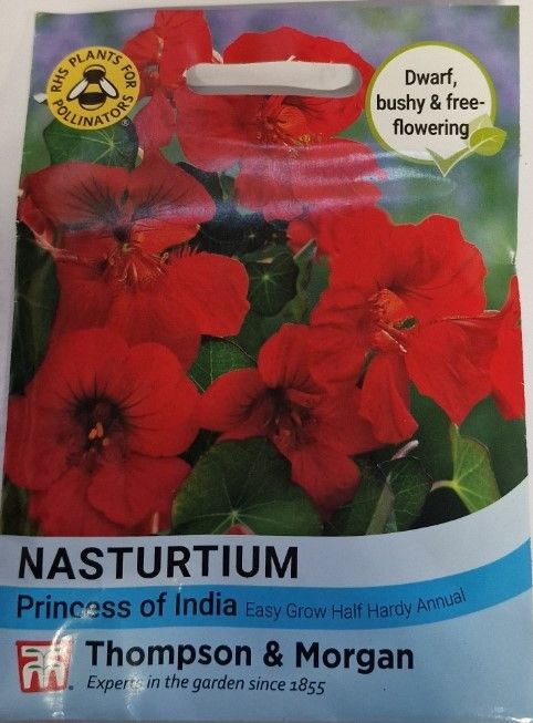 Nasturtium - Princess of India