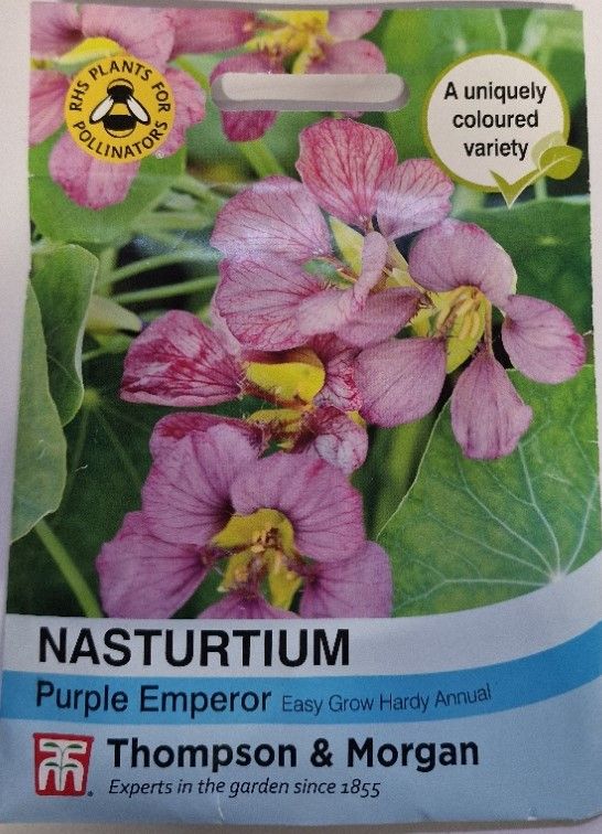 Nasturtium - Purple Emperor