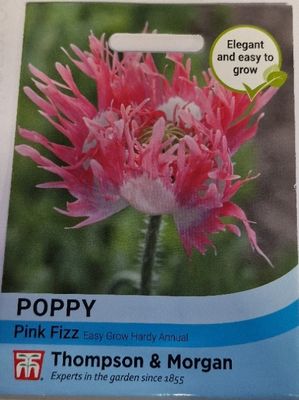 Poppy- Pink Fizz