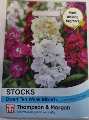 Stocks- Dwarf Ten Week mixed