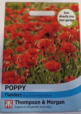 Poppy- Flanders