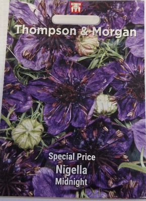 Nigella- Midnight