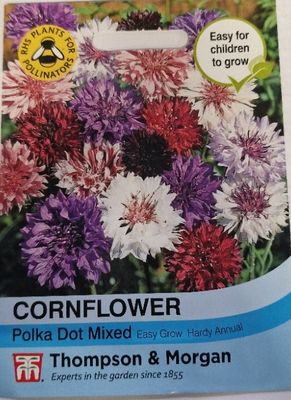 Cornflower- Polka Dot mix
