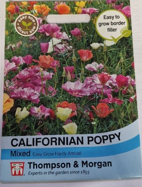 Californian Poppy - mixed