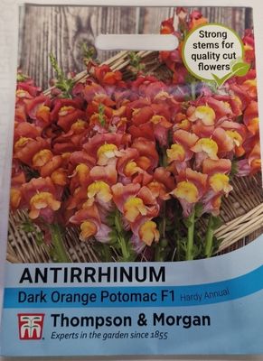 Antirrhinum- Dark Orange Potomac