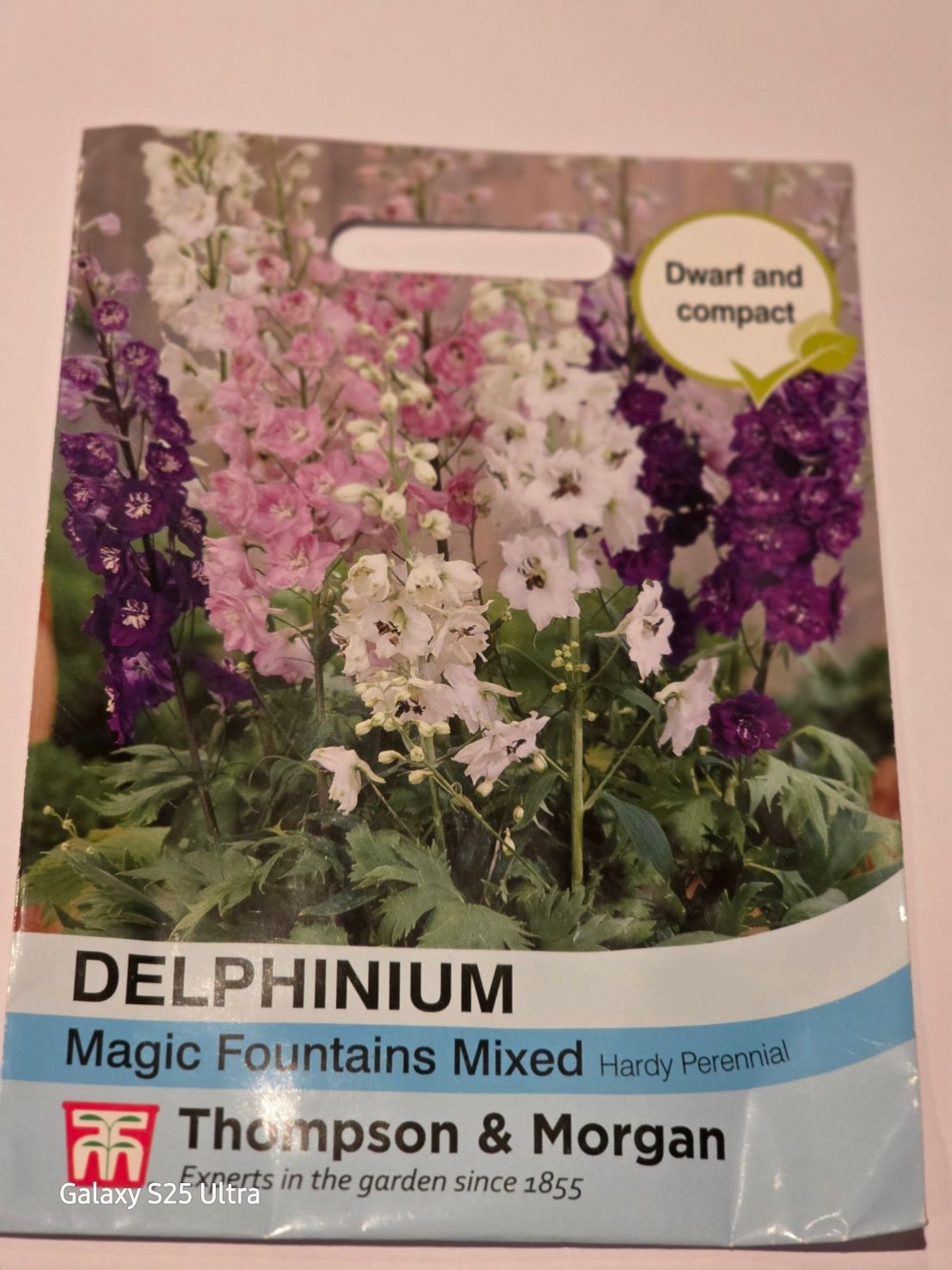 Delphinium- Magic Fountains Mix