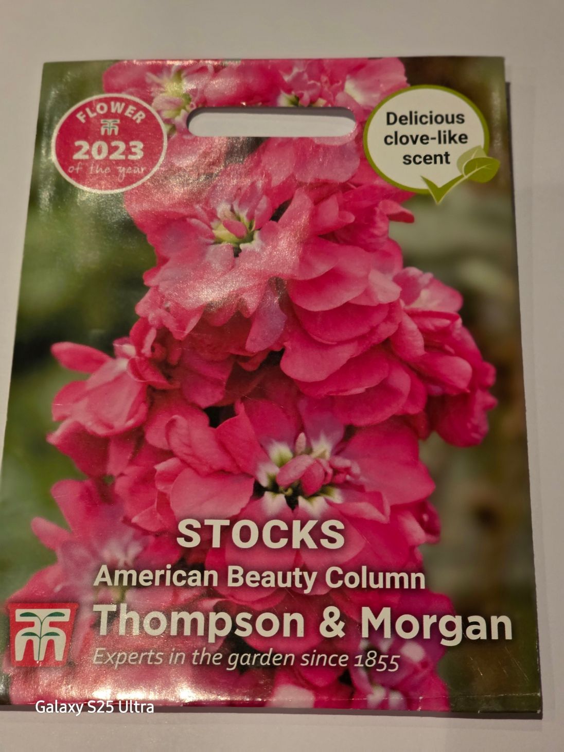 Stocks- American Beauty Column