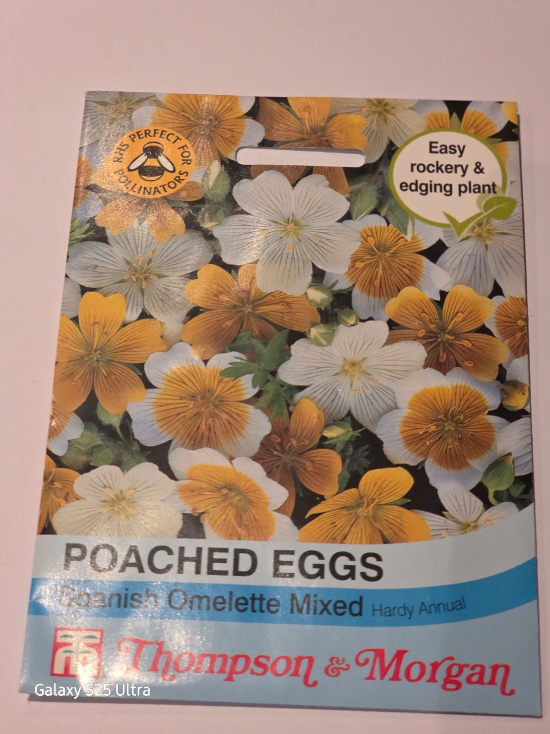 Poached Eggs- Spanish Omelette mix
