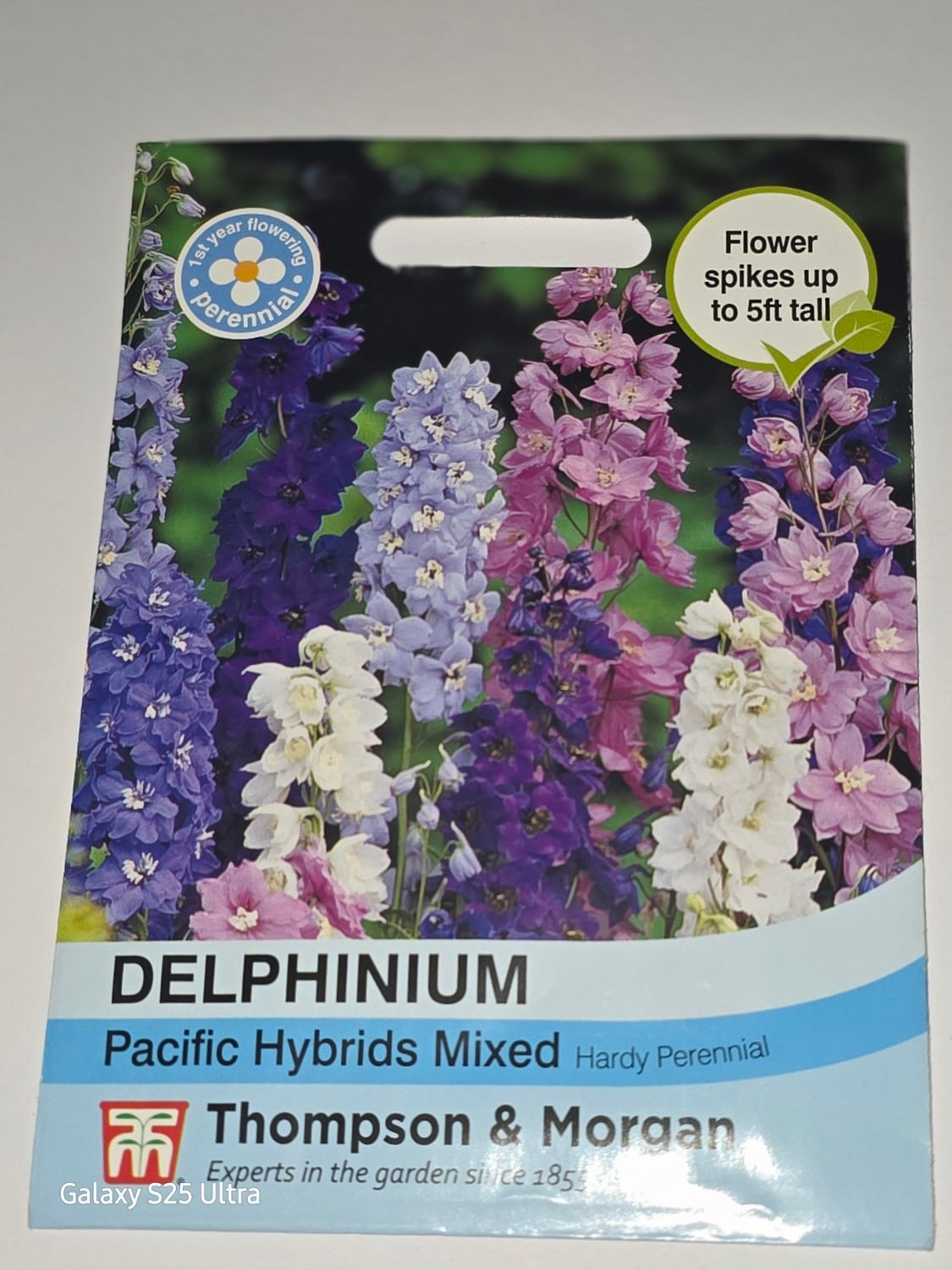 Delphinium - Pacific Hybrids Mix