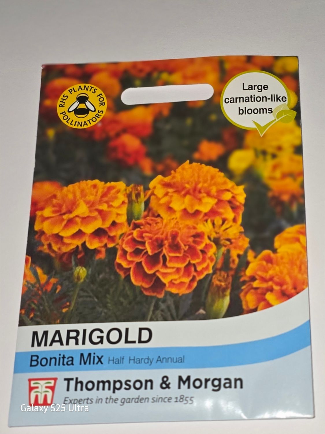 Marigold- Bonita mix