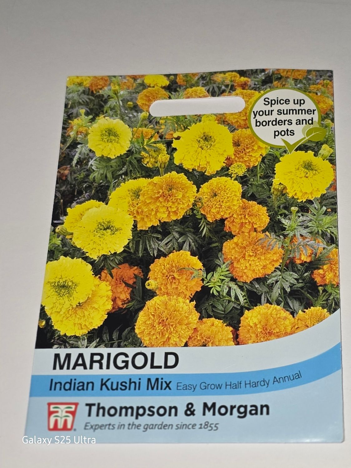 Marigold- Indian Kushi mix