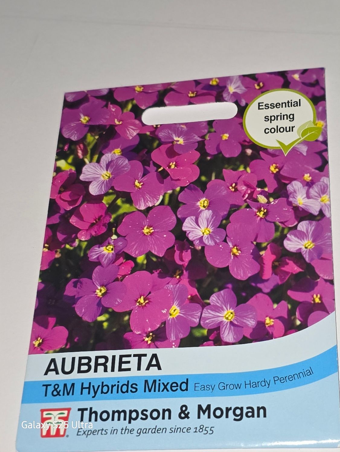 Aubrieta- T&amp;M Hybrids mixed