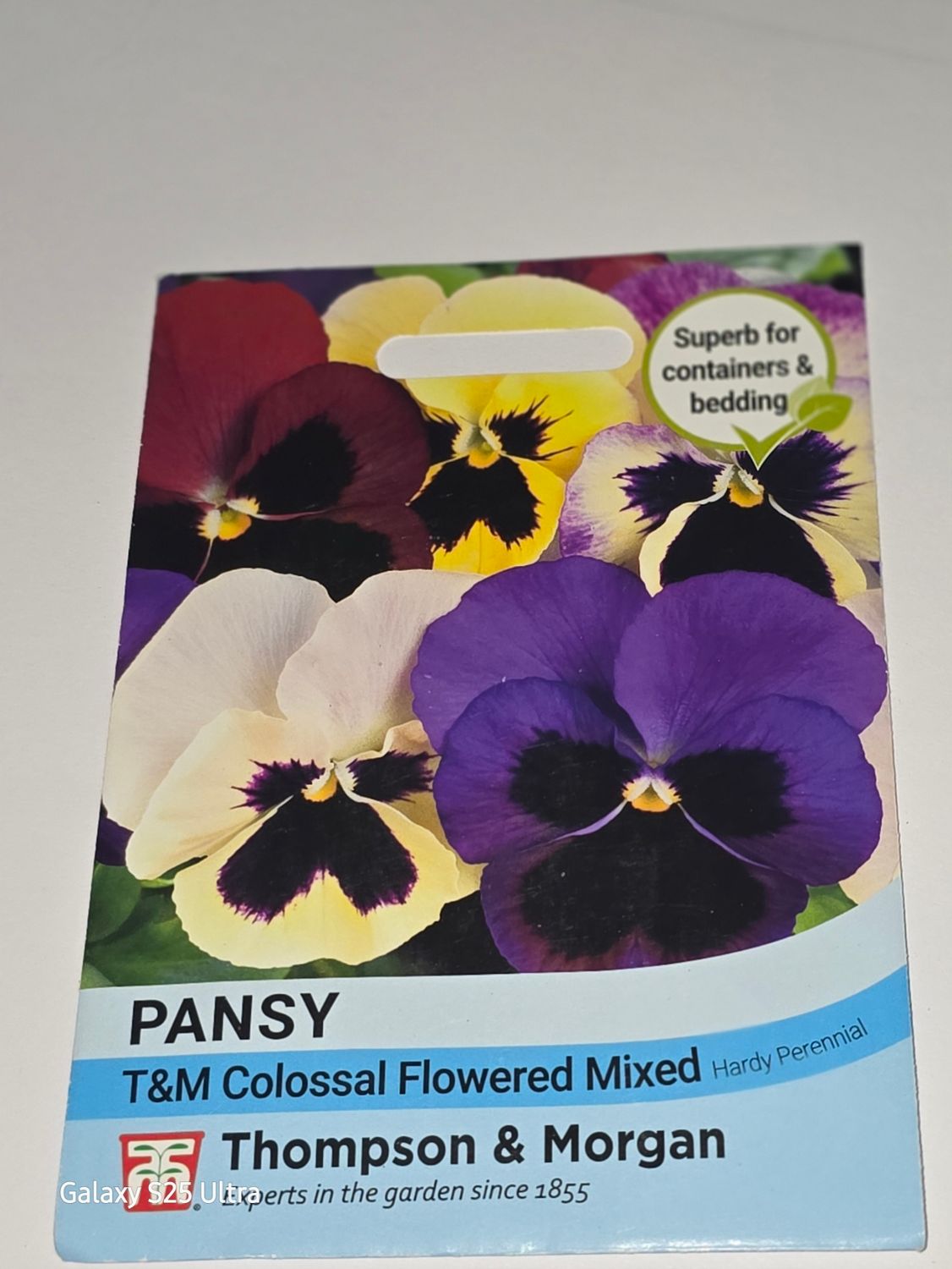 Pansy- T&amp;M colossal Flowered Mixed