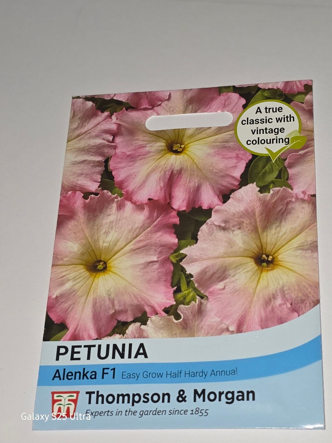 Petunia- Alenka F1