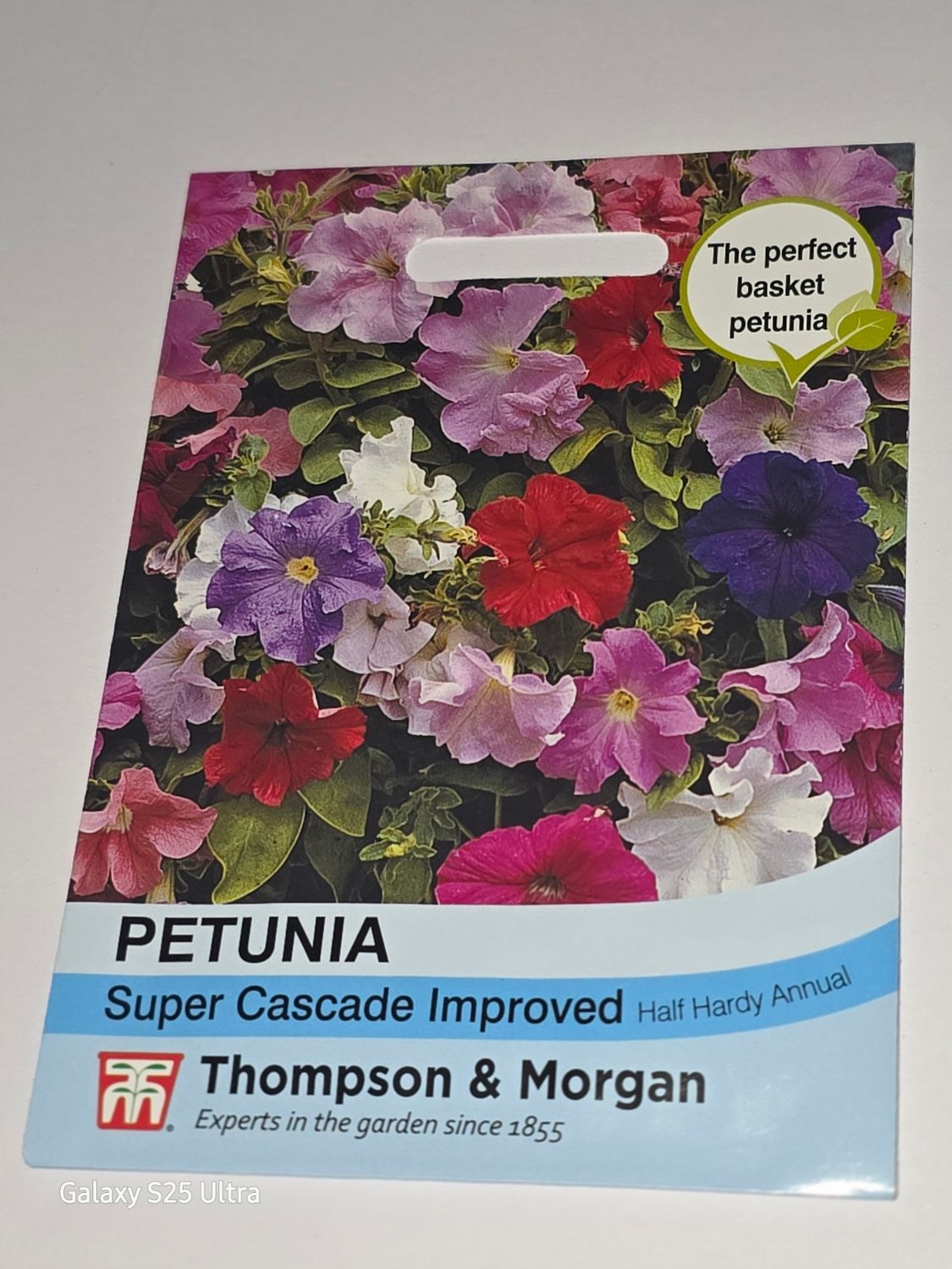 Petunia- Super Cascade Improved