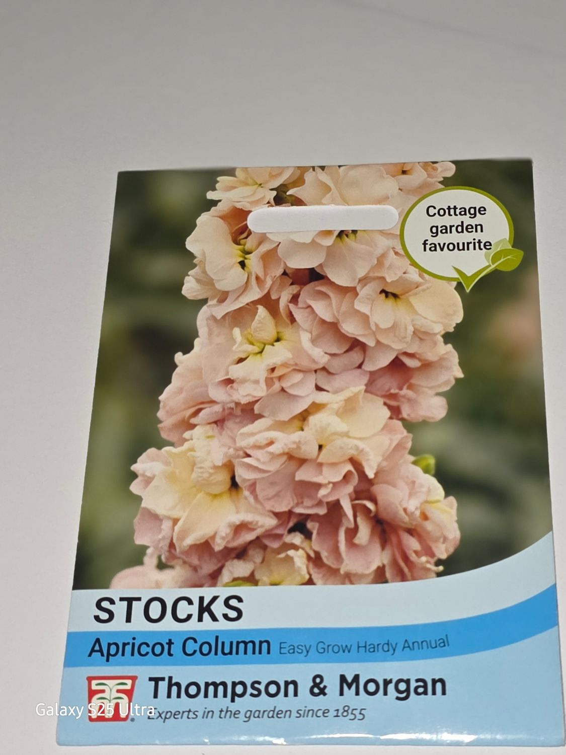 Stocks - Apricot Column