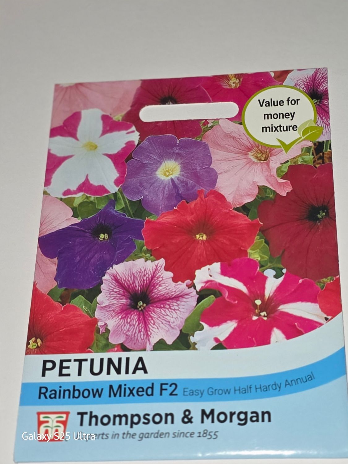 Petunia- Rainbow mixed F2