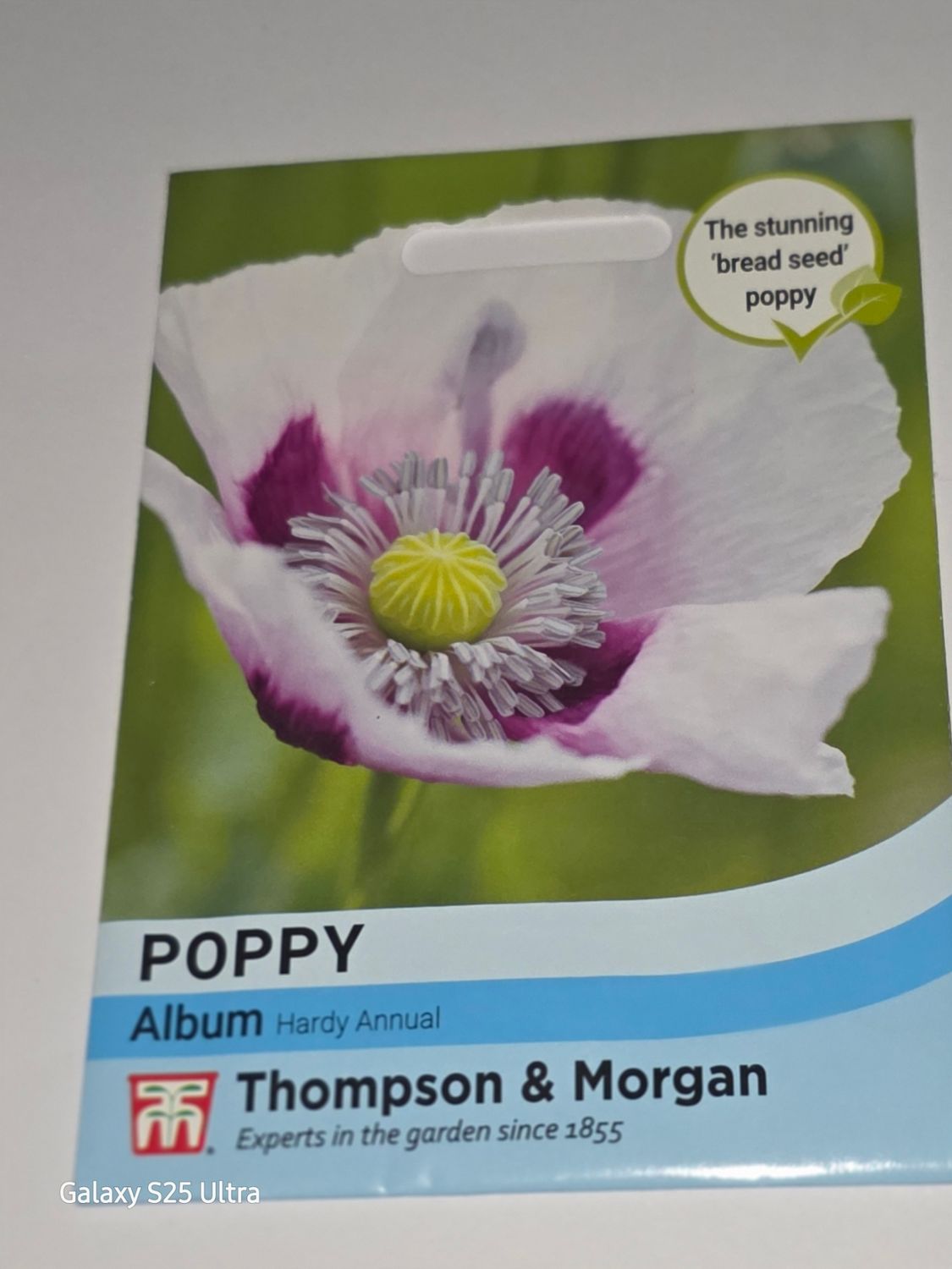 Poppy - Album