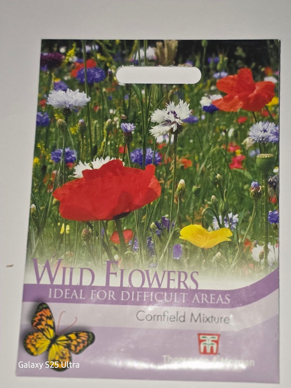 Wild Flower - Cornfield Mixture