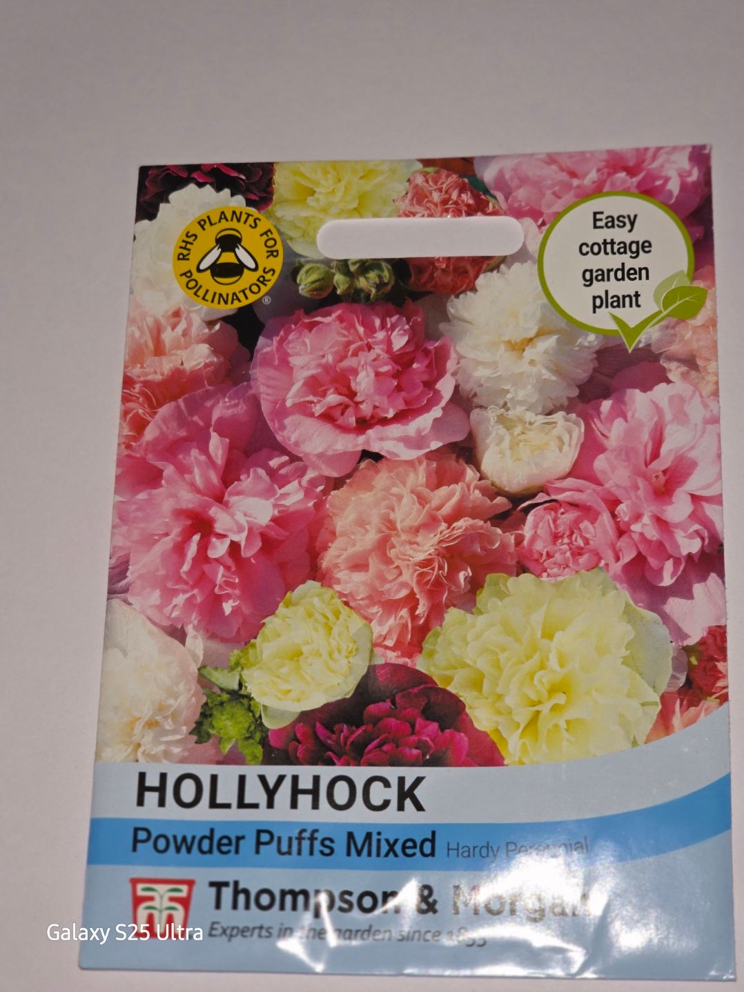 Hollyhock- Powder Puffs mixed