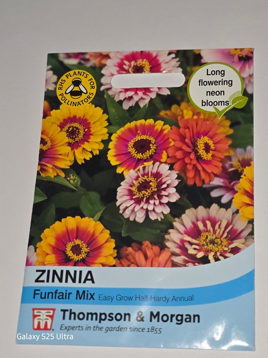 Zinnia - Funfair Mix