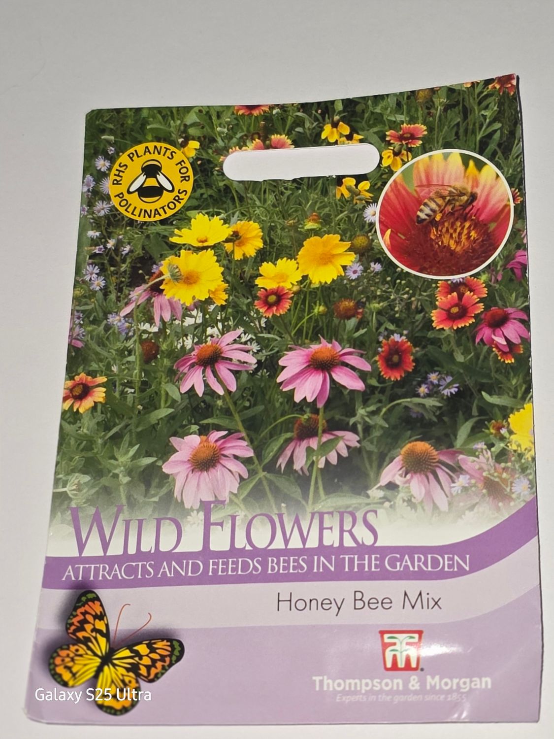 WildFlower - Honey Bee Mix