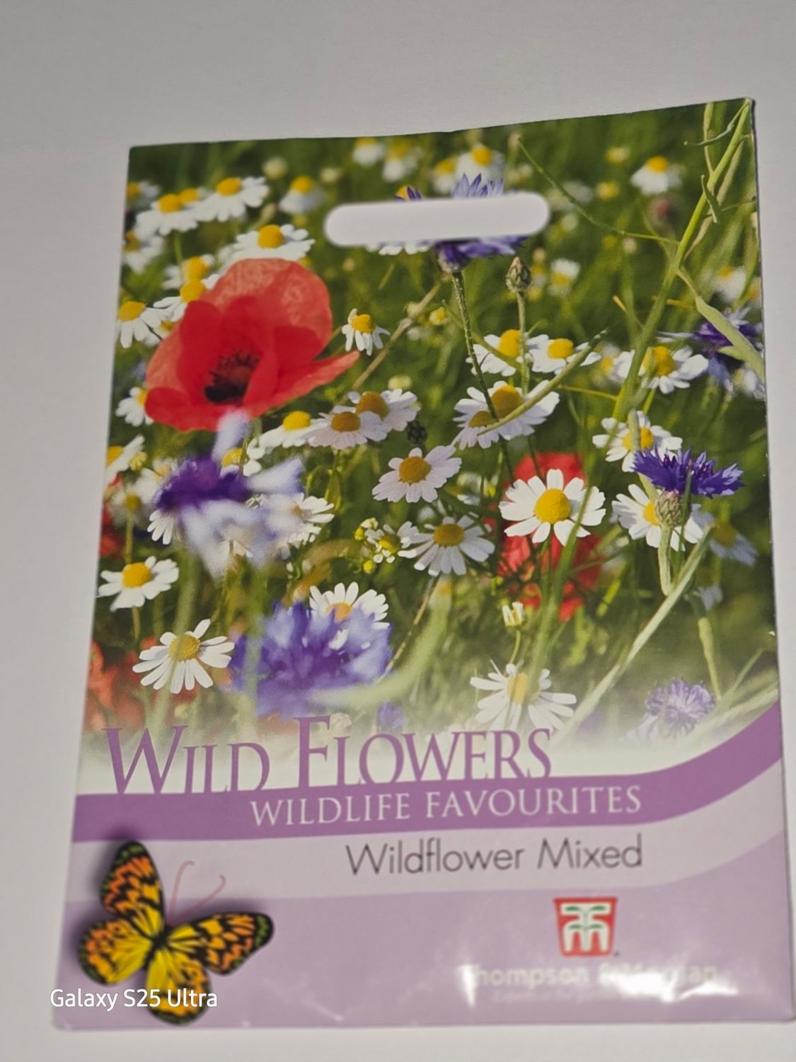 Wild Flowers - Wildflower mixed