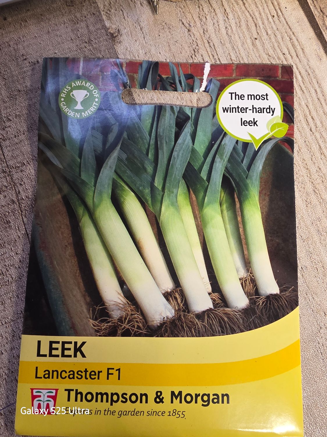 Leek &quot;Lancaster&quot;