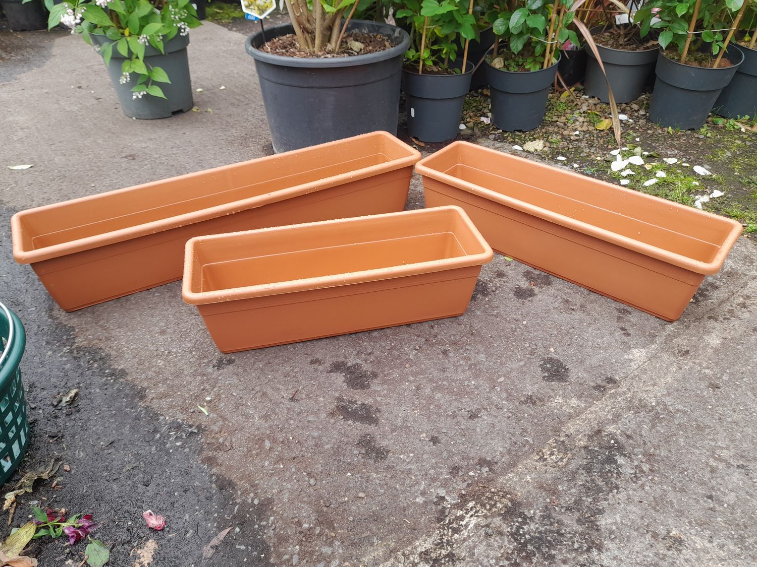 50cm Window Box
