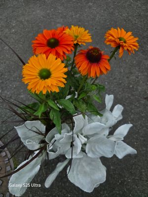 Triple Beauty -&#39;&#39;Dublin&#39;&#39;  pot combo that last for years!!!